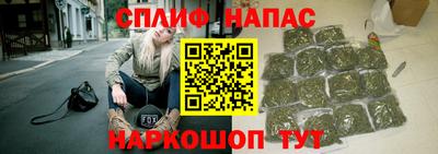 дмт Бийск