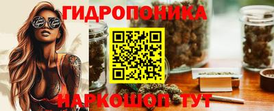 дмт Бийск