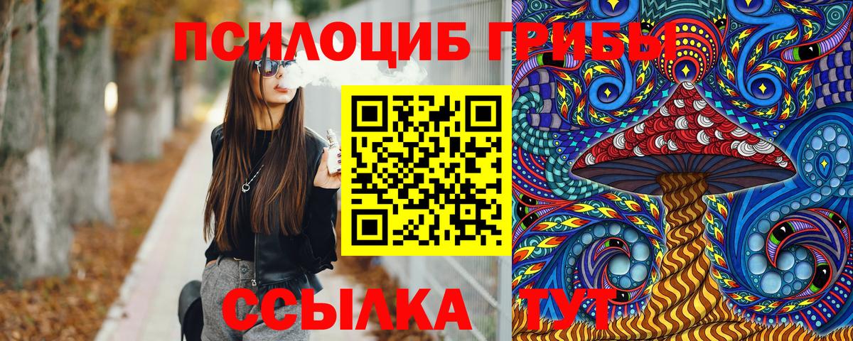 Псилоцибиновые грибы прущие грибы Заводоуковск